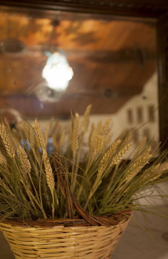Relais Mastro Cinghiale Paciano Exterior photo